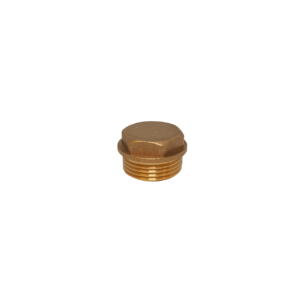 Brass Flanged Plug (Various Sizes)